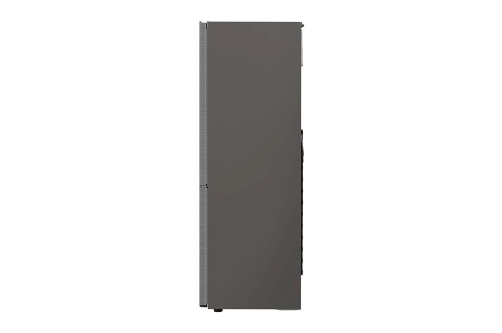 LG GBB71PZDMN nuotrauka